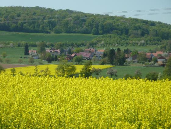 FDP Bovenden